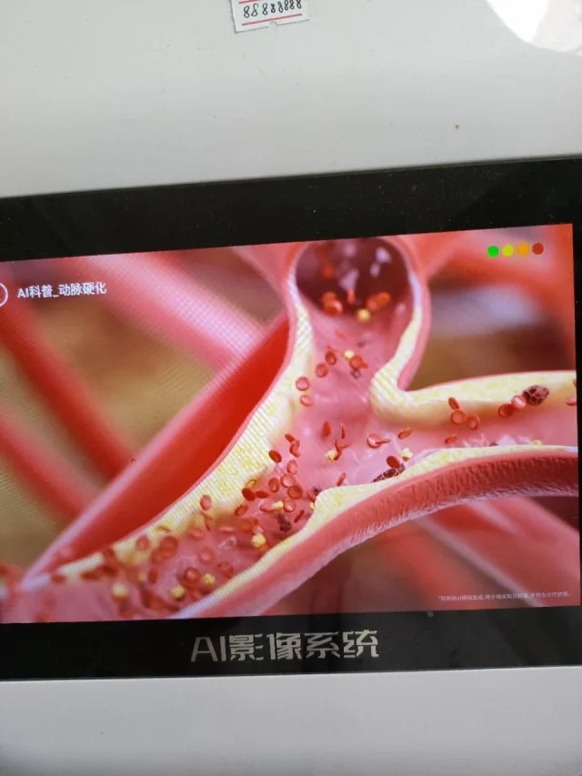 比特28预测真人娱乐高清直播特色展示